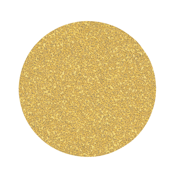 Schleifbl. C470,125mm,K40,50x EXPERT