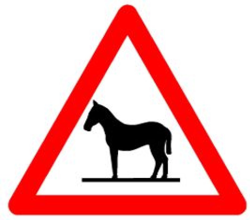 1.25A Tiere (Pferd) Grösse cm: 90, Ausführung: Scotchlite HI