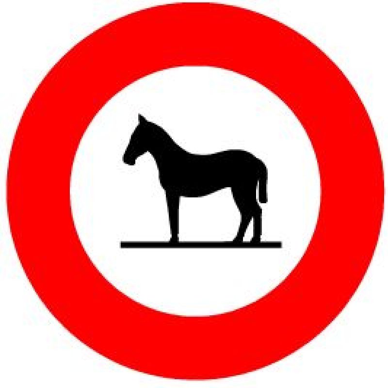 2.12 Verbot für Tiere Ø cm: 40, Ausführung: Scotchlite HIP